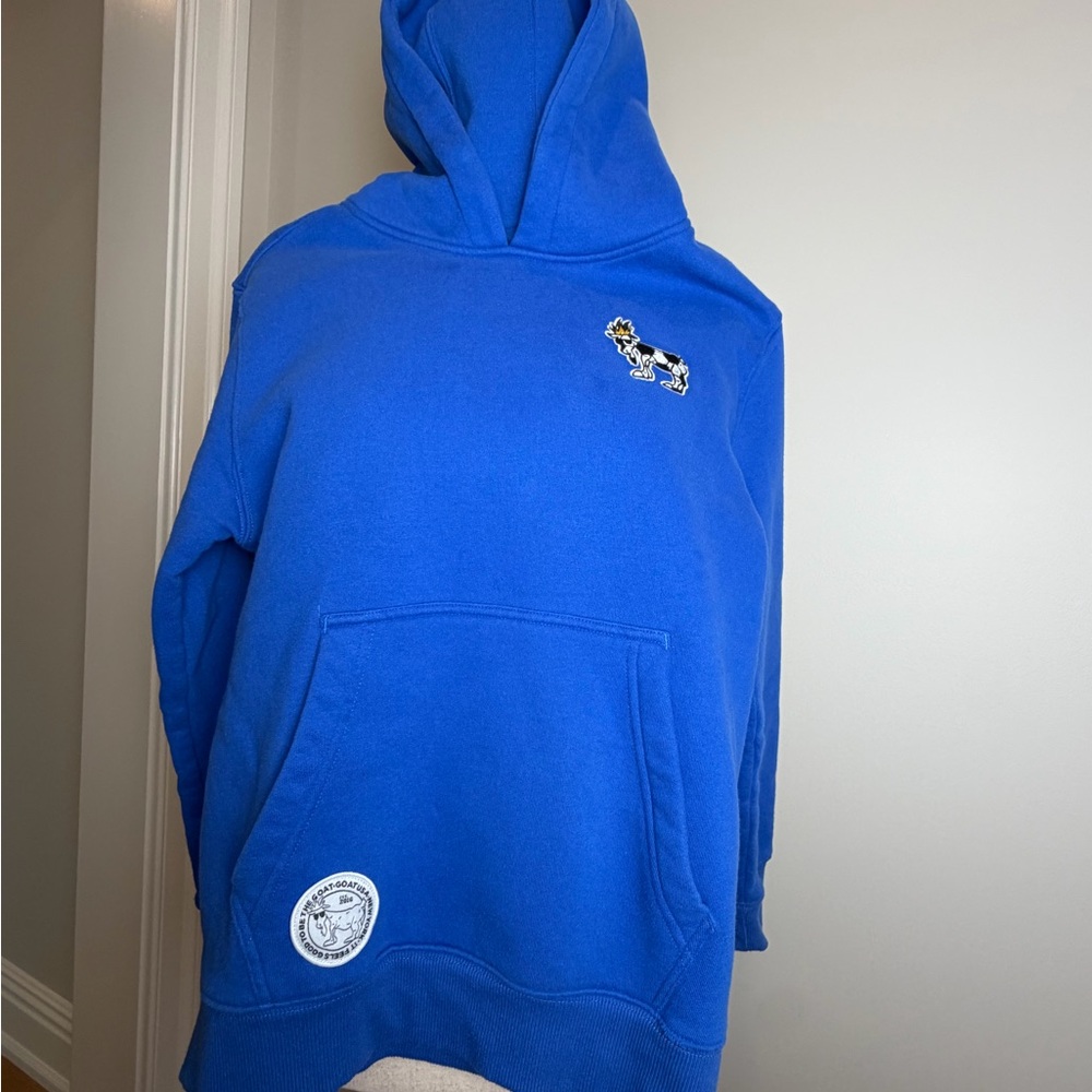 GOAT USA Soccer Blue Hoodie - Youth Large